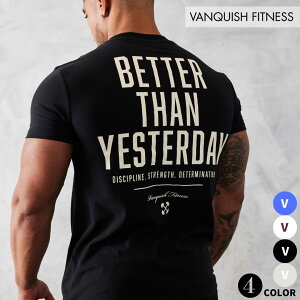 ヴァンキッシュ フィットネス VANQUISH TSP DISCIPLINE FITTED T SHIRT ロゴ Tシャツ 筋トレ ジム トレーニング ウエア 正規品