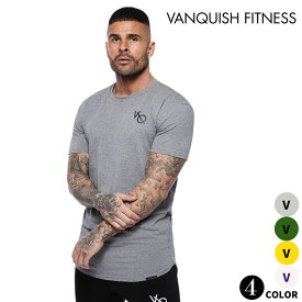 ヴァンキッシュ フィットネス VANQUISH FITNESS エッセンシャル メンズ Tシャツ Essential SP Short Sleeved T-Shirt 筋トレ ジム トレーニング ウエア 正規品