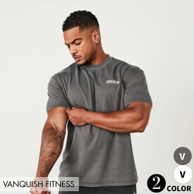 ヴァンキッシュ フィットネス VANQUISH WASHED OVERSIZED T SHIRT オーバーサイズ Tシャツ 筋トレトレーニング ウェア 正規品
