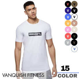 ヴァンキッシュ フィットネス VANQUISH FITNESS ボックス ロゴ メンズ Tシャツ Box Logo Short Sleeve T Shirt 筋トレ ジム トレーニング ウエア 正規品