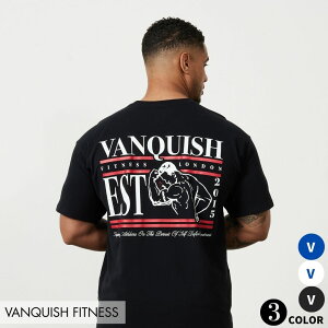 @LbV tBbglX VANQUISH MUSCLE OVERSIZED T SHIRT S I[o[TCY TVc ؃g W g[jO EGA Ki