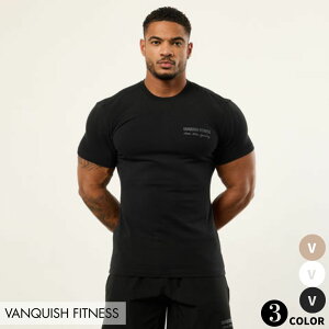 @LbVtBbglX VANQUISH SIGNATURE FITTED T SHIRT TVc ؃g W g[jO EGA Ki
