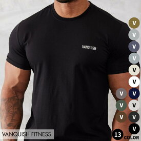 ヴァンキッシュ フィットネス VANQUISH ESSENTIAL SLIM FIT SHORT SLEEVE T SHIRT メンズ スリムフィット Tシャツ 筋トレ ジム トレーニング ウエア 正規品