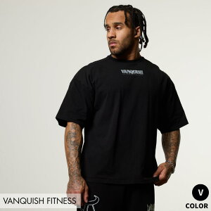 ���@���L�b�V���t�B�b�g�l�X VANQUISH OLYMPUS MINOTAUR OVERSIZED BOXY T SHIRT �����Y �I�[�o�[�T�C�Y T �V���c �X�|�[�c �E�G�A ���K�i