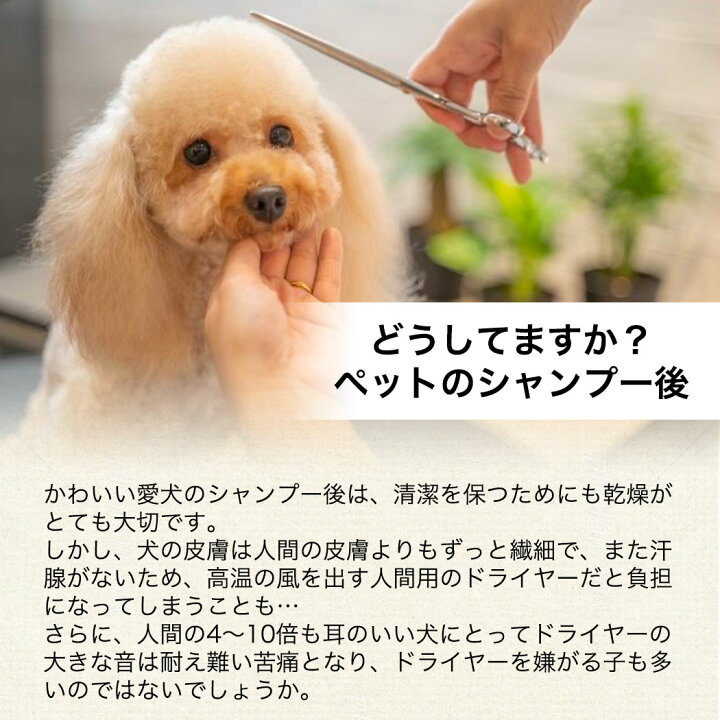 市場 ドライヤー 低温ドライヤーphenix 犬 ペット Pd 1000業務用 ペット用ドライヤー フェニックス