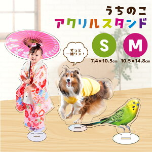 yԌEVfUCǉIzt[ɂfUCĂIANX^h IWi ̂q ʐ^  ANX^ 쐬  L ybg qǂ ʐ^ IWiObY 