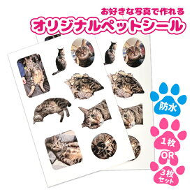 お好きな写真で作れます オリジナル ペット シールオーダーメイド ステッカー 防水 うちの子シール 犬 猫 写真 オリジナル グッズ 1個から ペット写真グッズ うちの子 オーダー 猫 犬 メモリアル 思い出 オリジナルグッズ 写真シール 作成 自作