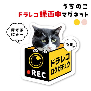 yDȉ摜ł܂!zhR hCuR[_[ hR^撆 IWi ̂ }Olbg Now on Rec ^撆XebJ[  L ybgʐ^ ^]΍ ^]h~