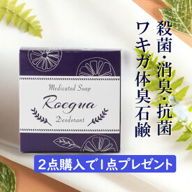 ワキガ 体臭 石鹸 脇汗 汗臭 消臭 ロエグア デオドラント ソープ 加齢臭 足臭 日本製 医薬部外品 80g