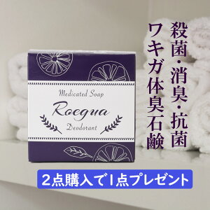 LK ̏L p Ό GOA fIhg \[v E R L ̏L L L L ɗD Y fB[X p 80g { 򕔊Oi