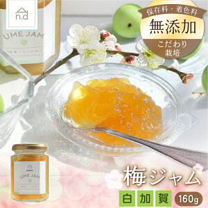 yz~Wu炩vi160gj FY ۑY QܖY Y ܖY Y ~  _ 엿 S S QnY 炩  t[e