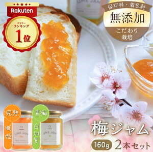 yzsr[4.60t~W 2{Zbg (160g×2) smybestԃA[hltFY ۑY QܖY Y ܖY Y ~  _ 엿 
