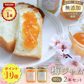 【ポイント10倍(11日1:59まで)】梅ジャム 2本セット (160g×2種) 着色料無添加 保存料無添加 ゲル化剤無添加 香料無添加 安定剤無添加 国産 梅 うめ 無農薬 無肥料 安心 安全 群馬産 おりひめ しらかが 贈答 送料無料 お中元