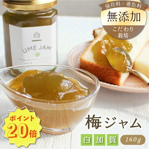 yX[p[SALEE|Cg20{z~Wu炩vi160gj W  FY ۑY QܖY Y ܖY Y ~ _ 엿 S S  