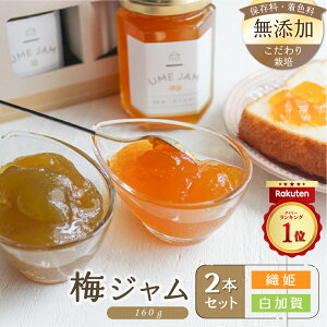 y20%|CgobNzsr[4.60t~W 2{Zbg (160g×2) smybestԃA[hltFY ۑY QܖY Y ܖY Y ~  _ 