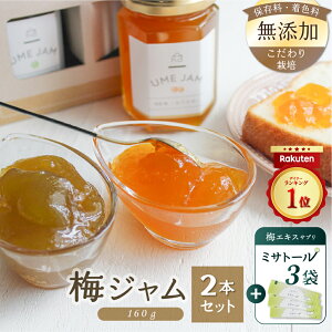 y420:00`|Cg10{zsr[4.90t~W2{Zbg(160g×2){~GLXTvu~Tg[NA3ܓv FY ۑY QܖY Y 