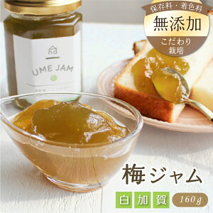 y10%|CgobNz~Wu炩vi160gj FY ۑY QܖY Y ܖY Y ~  _ 엿 S S QnY 炩  