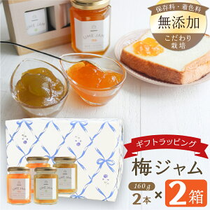 y111|Cg10{zsMtgbsOρtsr[4.86t~Wu炩vuЂ߁v2×2Zbg FY ۑY QܖY Y ܖY 