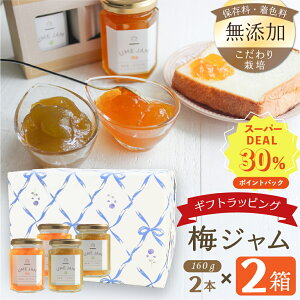 y30%|CgobNzsMtgbsOρtsr[4.86t~Wu炩vuЂ߁v2×2Zbg FY ۑY QܖY Y ܖY 