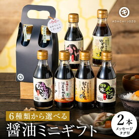 ギフト 全6種から選べる蔵元の醤油 2本入(200ml）プチギフト 1000円 ミニ 調味料 しょうゆ だし 醤油 お試し お礼 内祝 贈り物 お返し 結婚祝 新築祝 出産祝 お祝 ご挨拶 御中元 寒中見舞い 誕生日 ギフト