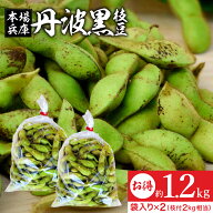 〈枝付き2kg相当〉予約 2026年度産 令和8年 丹波黒の枝豆 1.2kg 袋入り（600g×2）送料無料 超破格 丹波…