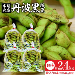 【レビュー投稿でミニ醤油プレゼント!!】【最安値に挑戦】予約 2025年度産 丹波黒の枝豆 2.4kg 袋入り(600g×4) 送料無料 超破格 丹波黒 黒枝豆 枝豆 兵庫県産 えだまめ 黒豆 京都 篠山 丹波 さ