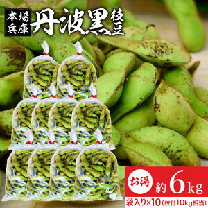 【レビュー投稿でミニ醤油プレゼント!!】【最安値に挑戦!!】予約 2025年度産 丹波黒の枝豆 6kg 袋入り(600g×10) 送料無料 超破格 丹波黒 黒枝豆 枝豆 兵庫県産 えだまめ 黒豆 京都 篠山 丹波