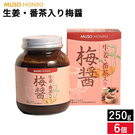 ＼お湯を注ぐだけ／ 梅醤番茶の出来上がり 無双本舗 生姜・番茶入り梅醤 250g×6個 セット 送料無料 しょうが ショウガ 梅 うめ ウメ ムソー 番茶 マクロビオティック 無添加 腸活 醤油ダレ感覚でさまざまなお料理にも