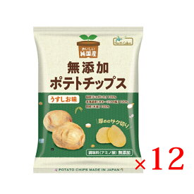 【全商品P2倍★お買い物マラソン】ノースカラーズ 無添加ポテトチップス うすしお 55g ×12袋 セット 送料無料 保存料・着色料・香料不使用 国内産米油を100％使用 国産 無添加 北海道 塩味 うす塩 ポテチ お菓子 おやつ じゃがいも 純国産 安心安全 おかし