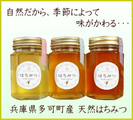 【全品★P2倍】＼最大P41倍★楽天イーグルス祭／【季節で味が変わる】兵庫県多可町産はちみつ100g 天然 国産 ハチミツ