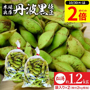 【10/30★P2倍】\レビュー投稿でミニ醤油GET/【最安値に挑戦!!】予約 2025年度産 丹波黒の枝豆 1.2kg 袋入り(600g×2)送料無料 超破格 丹波黒 黒枝豆 枝豆 兵庫県産 国産 えだまめ 黒豆 京都 篠