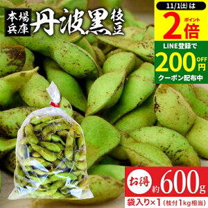 y11/1P2{z_1͂ȃ_tf[^yňlɒ!!z\ 2025NxY Og̎} 600g ܓi600g×1j ji Og } } ɌY ܂  s R O