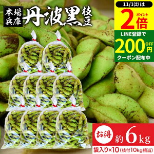 y11/1P2{z_1͂ȃ_tf[^yňlɒ!!z\ 2025NxY Og̎} 6kg ܓi600g×10j  ji Og } } ɌY ܂  s R O