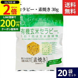 y11/1P2{z_1͂ȃ_tf[^Ag L@ăZs[EfĂ 30g × 20 Zbg  L@  100% َq