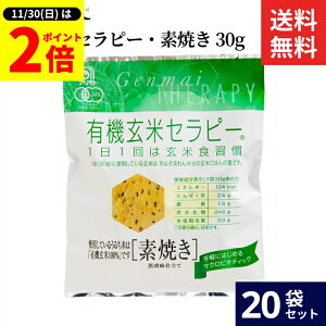 y11/30SiP2{z_0̂^Ag L@ăZs[EfĂ 30g × 20 Zbg  L@  100% َq