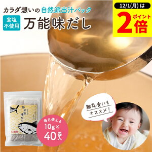 y12/1SiP2{z_1̓_tf[^SY Y \ 10g×40  pbN Ԃ p  H YpbN Hsgp  Y  o` pb