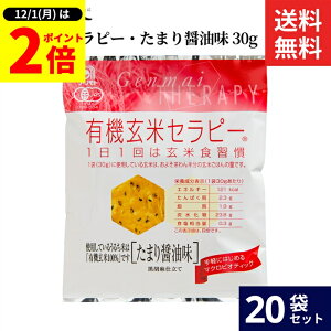 y12/1SiP2{z_1̓_tf[^Ag L@ăZs[E܂ݖ 30g × 20 Zbg  L@  100% َq ݖ