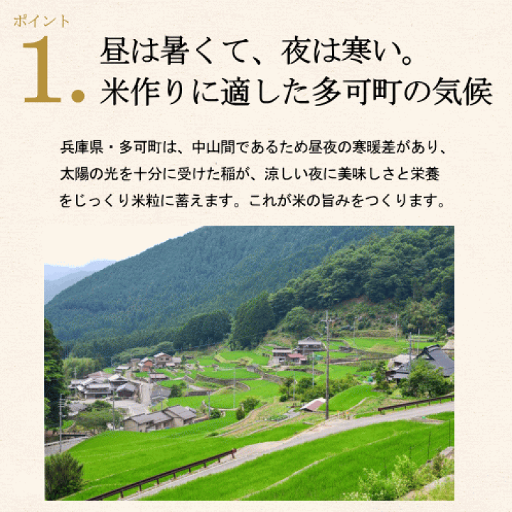 楽天市場】【8％OFFクーポン配布中!】新米 令和7年度産 兵庫県 多可町 