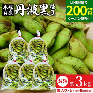 y200~OFFN[|zzzyňlɒ!!z\ 2025NxY Og̎} 3kg ܓi600g×5j  ji Og } } ɌY ܂  s R Og   