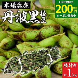 ＼LINE登録で★200円クーポン配布中／予約 2025年度産 丹波黒の枝豆 1kg 枝付き 送料無料 超破格 丹波黒 黒枝豆 枝豆兵庫県産 えだまめ 黒豆 京都 篠山 丹波 ささやま たんば 京丹波 独特のこく 甘み もっちり旨い 最高級枝豆 おつまみ ギフト