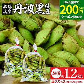 ＼LINE登録で★200円クーポン配布中／予約 2024年度産 丹波黒の枝豆 1.2kg 袋入り（600g×2）送料無料 超破格 丹波黒 黒枝豆 枝豆 兵庫県産 国産 えだまめ 黒豆 京都 篠山 丹波 ささやま たんば 甘み もっちり旨い 最高級枝豆 おつまみ ギフト