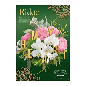 j Ԃ Mtg v[g oYj j z Vz J^OMtg }Cn[g bW Ridge 