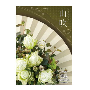  u  TԂ j Ԃ J^OMtg }Cn[g R ܂Ԃ 