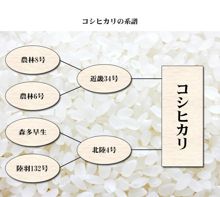 楽天市場】【先行販売】新米 米 白米 10kg 送料無料 コシヒカリ 5kg×2袋 富山県産 令和4年産 1等米 コシヒカリ お米 10キロ 安い 北海道・沖縄は追加送料 : あだちねっと 美米屋 楽天市場】【先行販売】新米 米 白米 10kg 送料無料 コシヒカリ 5kg×2袋 富山県産 令和4年産 1等米 コシヒカリ お米 10キロ 安い 北海道・沖縄は追加送料 : あだちねっと 美米屋