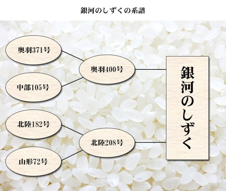 楽天市場】米 白米 10kg 送料無料 銀河のしずく 5kg×2袋 岩手県産 令和 