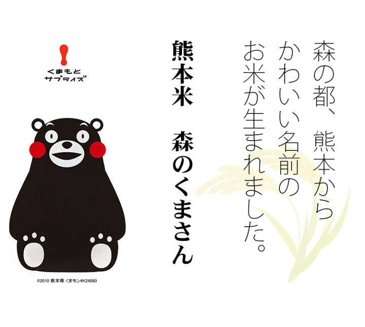 美品 ⭐️令和4年度産フェア⭐️ 数量限定セール 熊本県北産森のくまさん10kg