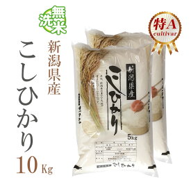 楽天市場 高級米 10kgの通販