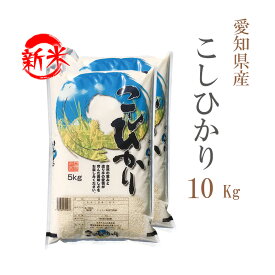 新米 米 白米 10kg 送料無料 コシヒカリ 5kg×2袋 愛知県産 令和7年産 コシヒカリ お米 10キロ 安い あす楽 送料無料【沖縄、配送不可】