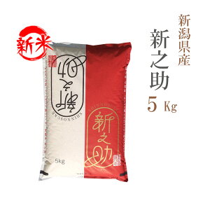 V   5kg VV ̂ VY ߘa7NY ꓙ VV ̂  5L  y yAzsz