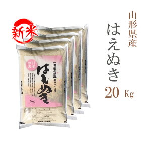 V   20kg  ͂ʂ 5kg×4 R`Y ߘa7NY ꓙ ͂ʂ   20L  y  zs